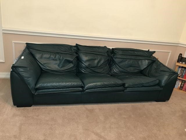 Forest Green Leather Sofa | Baci Living Room