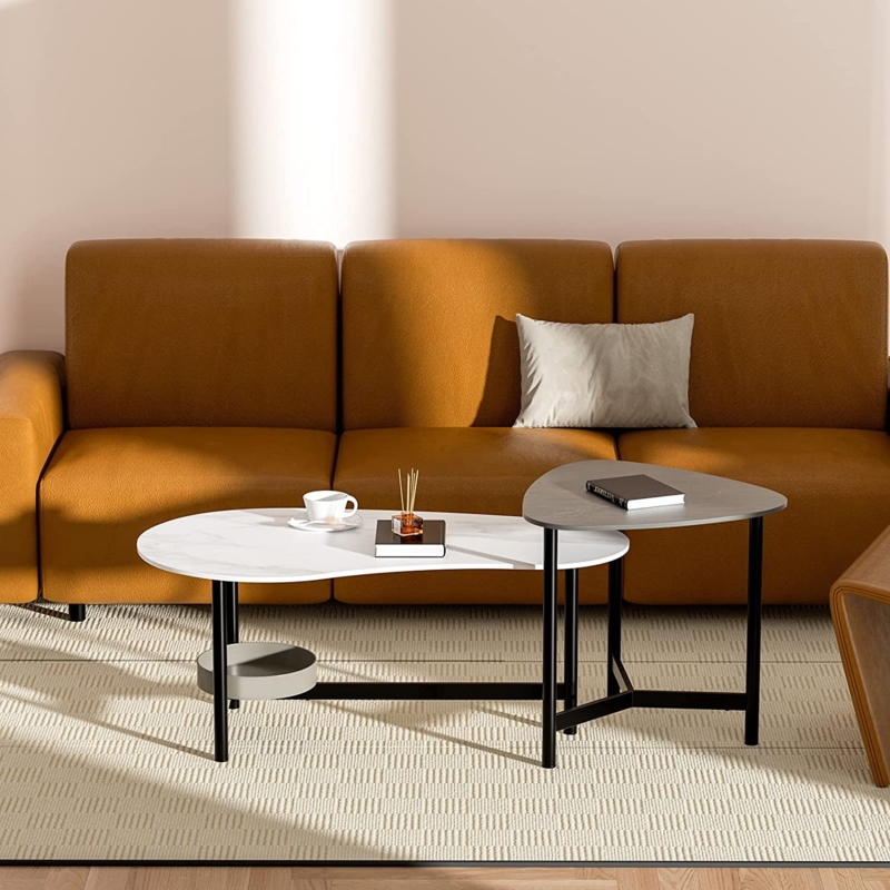 Modern 2-Piece Irregular Shape Coffee Table Set