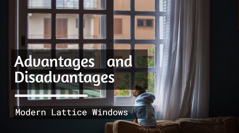 Modern Lattice Windows with Grid Design