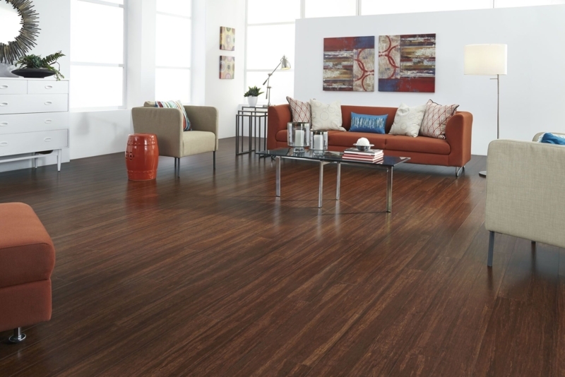 Modern Living Room with Dark Bamboo Flooring