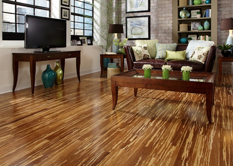 Modern Living Room with Morning Star Bamboo Flooring