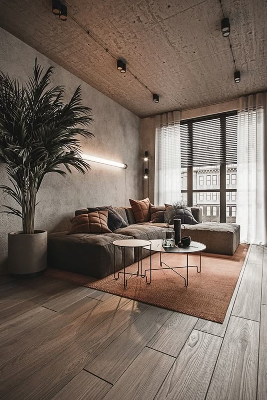Modern Masculine Living Room with Rug 2024