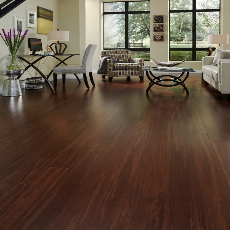 Morning Star Dark Bamboo Flooring in Modern Living Room