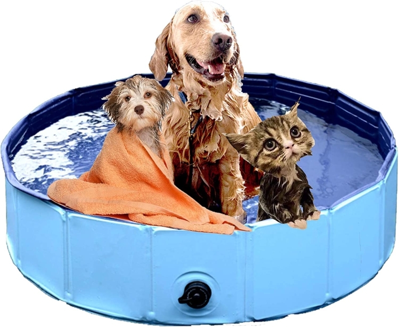 Pet Bathing Station with Portable Blue Pool