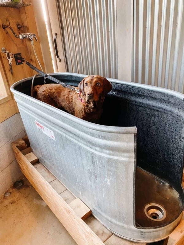 Rustic Homemade Dog Bath Tub with Drain
