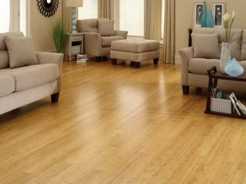 Strand Carbonized Bamboo Flooring in Cozy Living Room