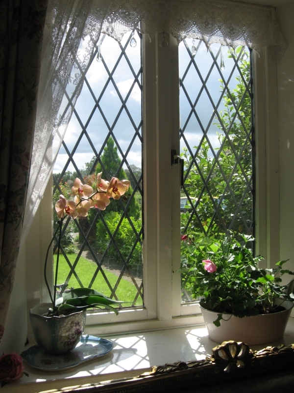Sunlit Window with Ornate Lattice and Indoor Plants