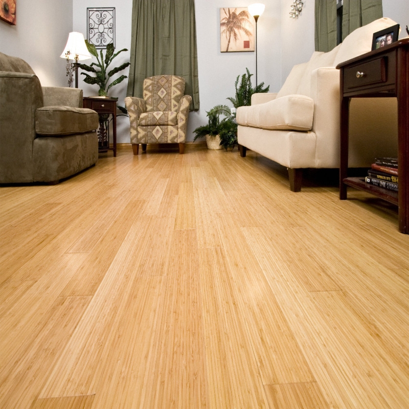Warm Morning Star Bamboo Flooring in Cozy Living Room