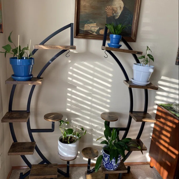 indoor large plants The Big and Bright Duo Houseplants - Large (tall) Grow Pots