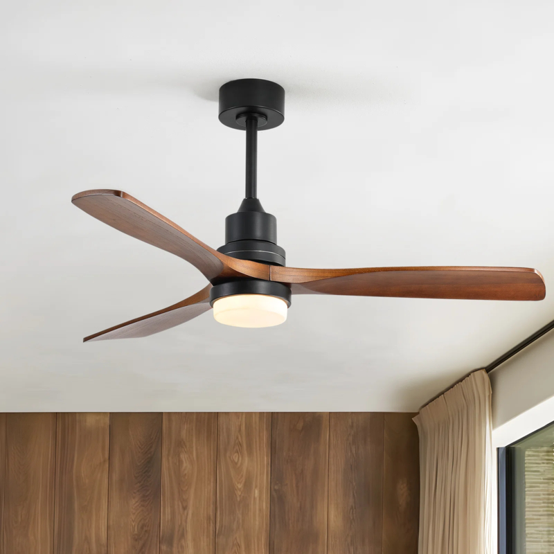 George Oliver Nicola Ceiling Fan - Thumbnail 5