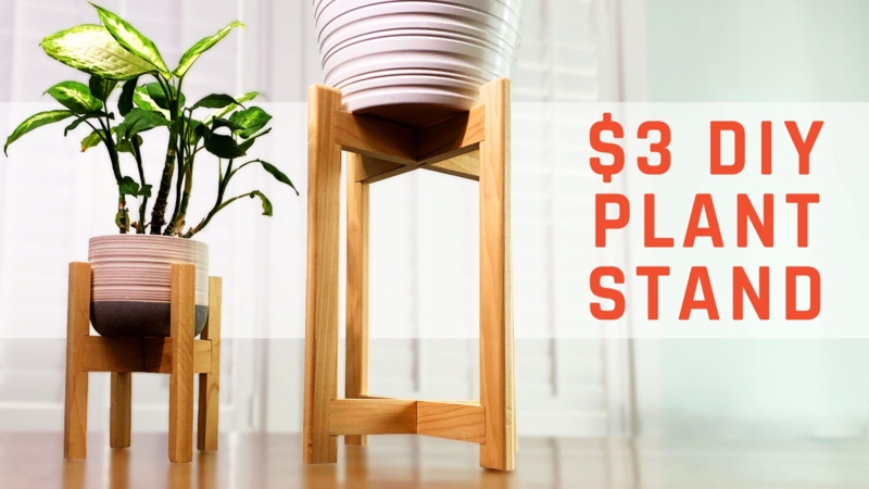 $3 DIY Mid-century Modern Plant Stand with Plans!  LRN2DIY