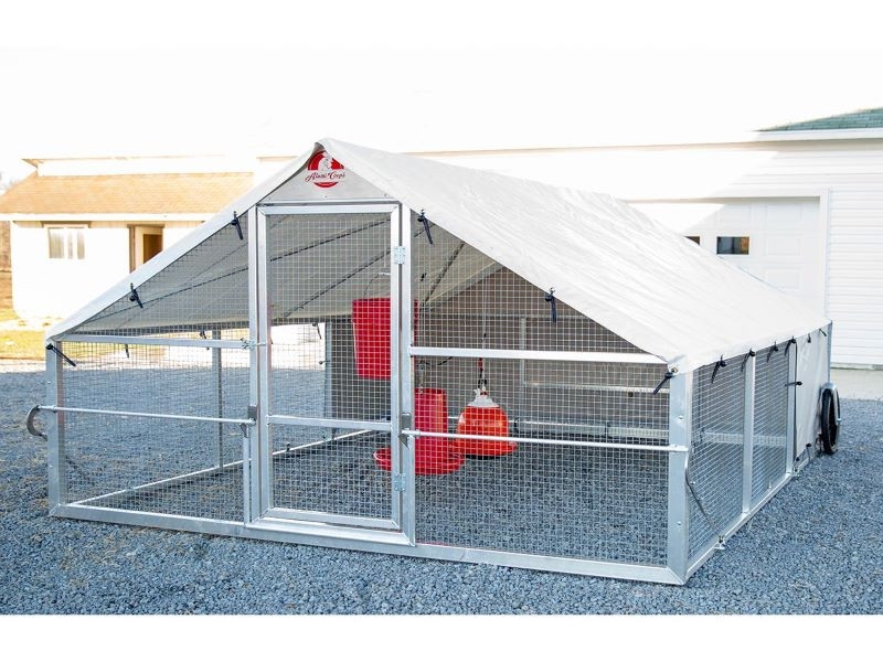 A-Frame Aluminum Chicken Tractor for Modern Homesteads