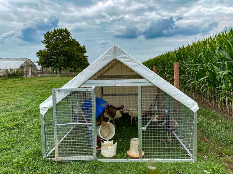 A-Frame Chicken Coop with White Canvas Cover - Walk-In Chicken Coop