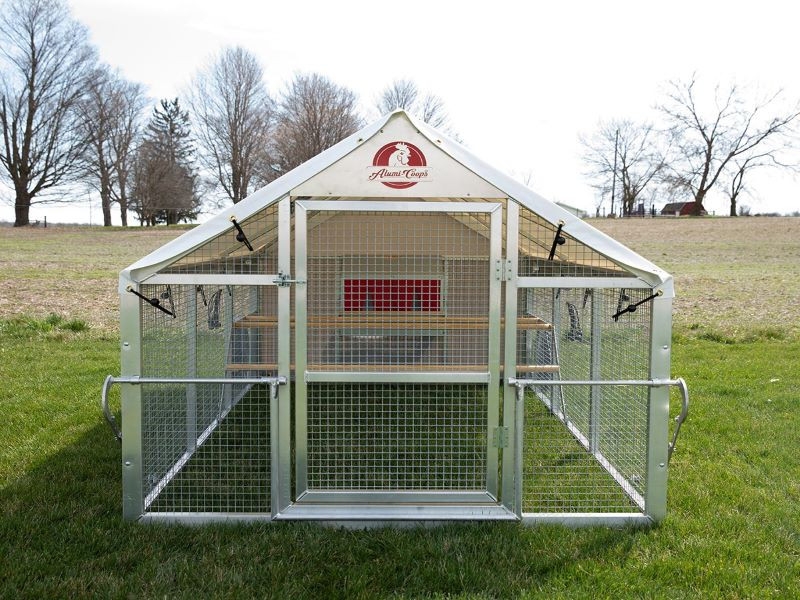 Chicken Tractor For Sale