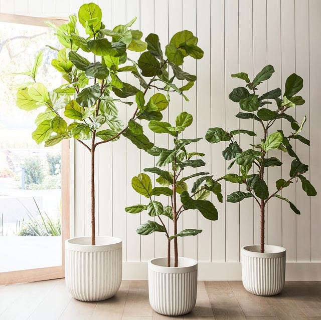 Artificial Tree Ribbed White Planters Varied Heights Modern Organic