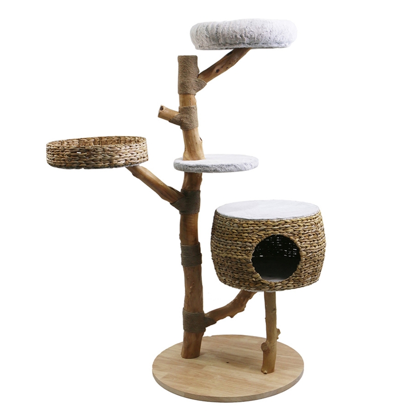 Biophilic Cat Tree with Natural Wood Branches & Woven Condo