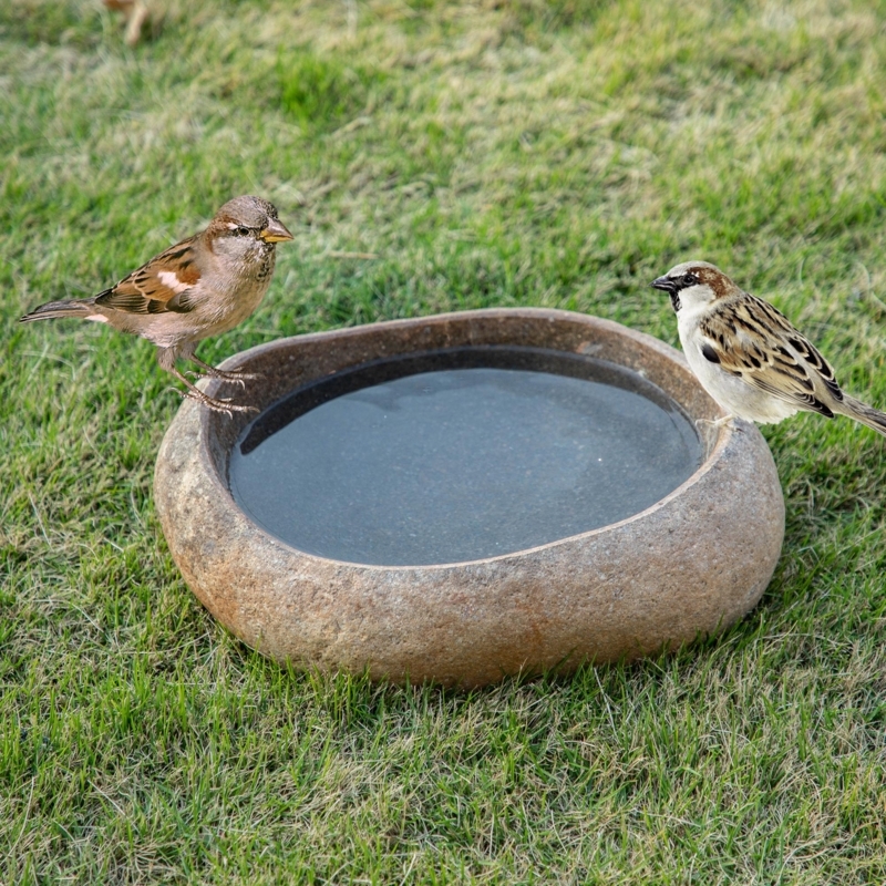 Bird Bath Low Profile Organic Shape Ground Level Basin