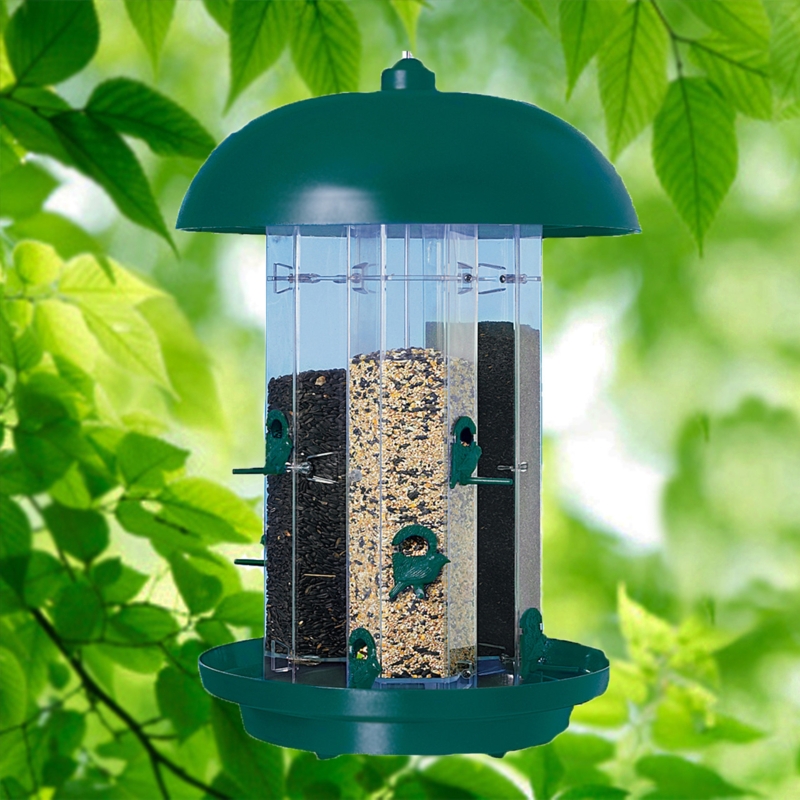 Bird Feeder, Bird Shaped Perches, Multi-Chamber Storage, Forest Green