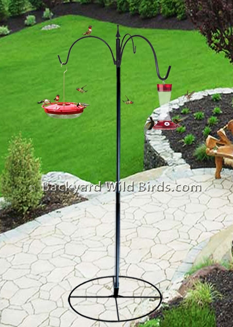 Bird Feeder Pole, Circular Patio Base, Quad Arm Topper, Traditional