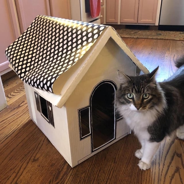 Cardboard Cat House Cottage with Polka Dot Roof and Hand Drawn Windows