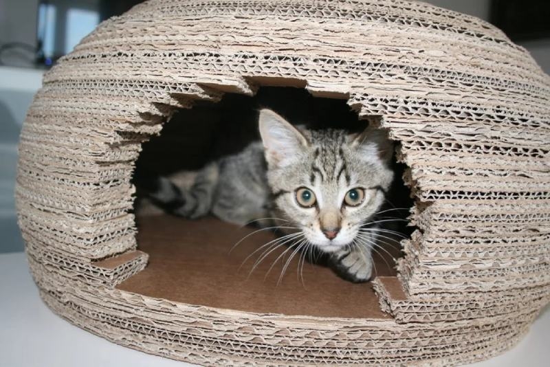 Cardboard Cat Igloo House with Stacked Layers and Raw Matte Finish
