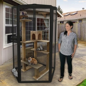 Cat Enclosure Hexagonal Shape Walk-In Outdoor Catio Design