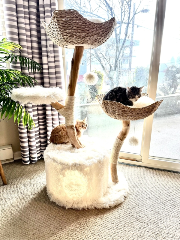 Cat Tree Boho Style with Organic Branch Frame and Faux Fur Baskets