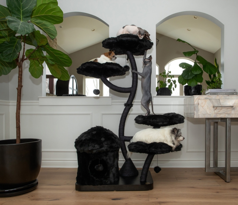 Cat Tree Modern Black with Organic Branching and Flower Perches