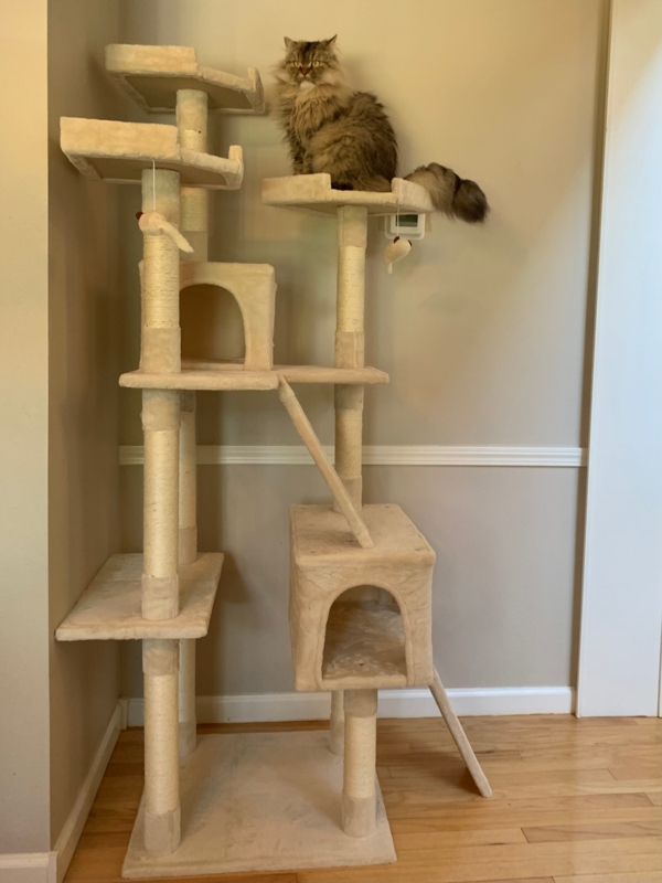 Cat Tree Multi-Level with Dual Condos, Sisal Posts, and Cream Plush