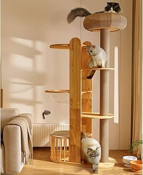 Cat Tree Tall Slim Design with Clear Space Capsule and Slatted Base