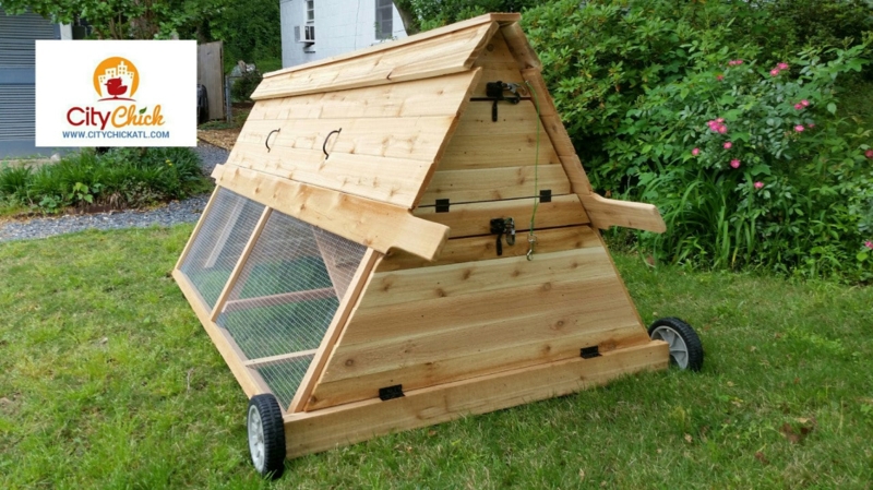 Cedar A-Frame Chicken Tractor, Portable Backyard Poultry Run