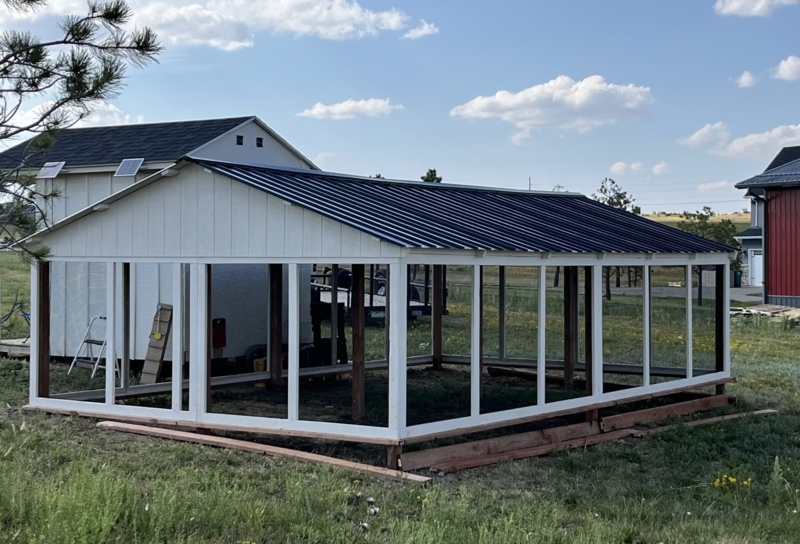Chicken Coop Run Featuring White Timber Frame and Corrugated Metal Roof
