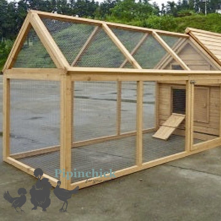 Chicken Coop with A-Frame Run Section, Timber Frame and Access Ramp