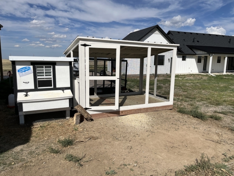 Chicken Coop with Crisp White Siding, Black Trim and Screened Run