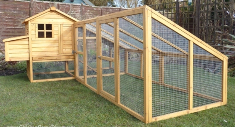 Chicken Coop with Elevated House, Integrated Nesting Box and Timber Frame