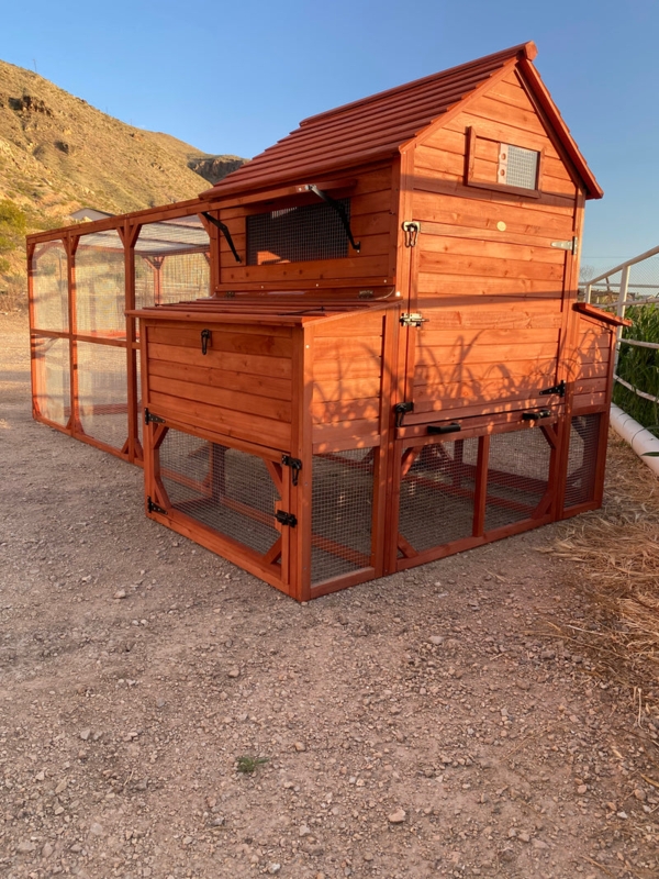 Chicken Coop with Multi-Tier Layout, Walk-In Run and Reddish Brown Stain