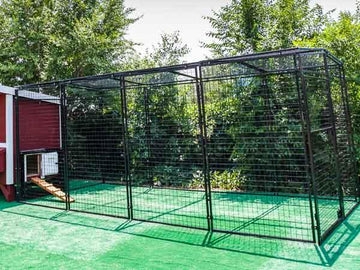 Chicken Run with 15 Foot Length, Black Metal Frame and Wooden Ramp