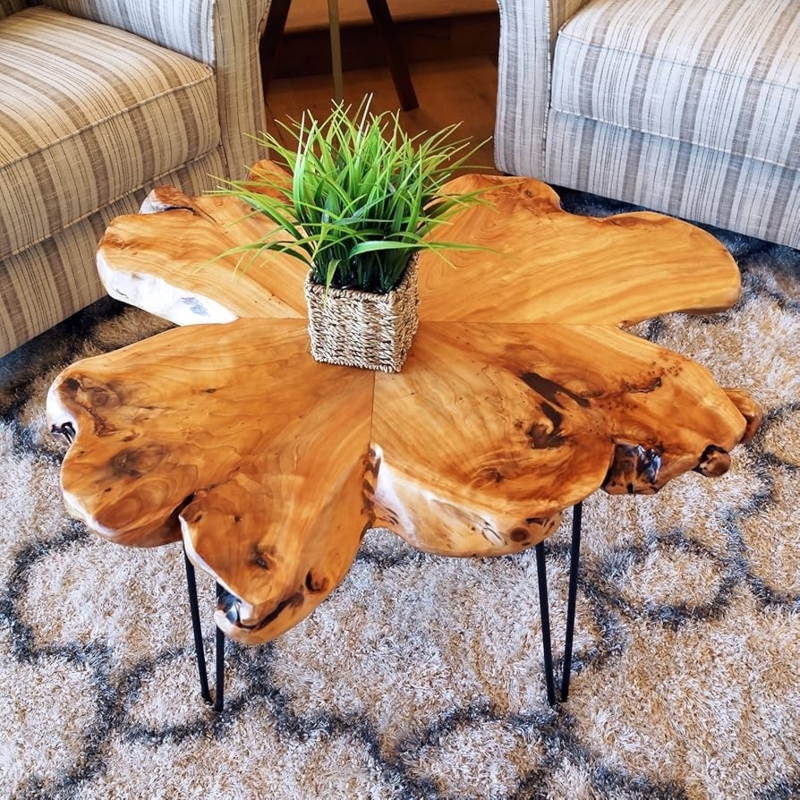 Coffee Table: Organic Live Edge Slab on Hairpin Legs