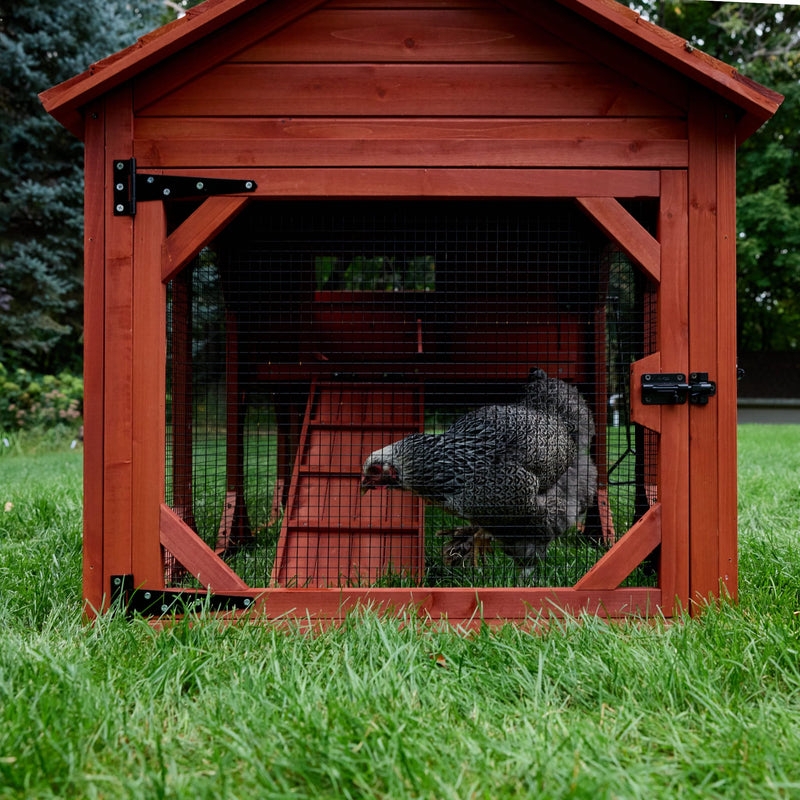 Cottage Style Chicken Coop Redwood Stain Strap Hinges