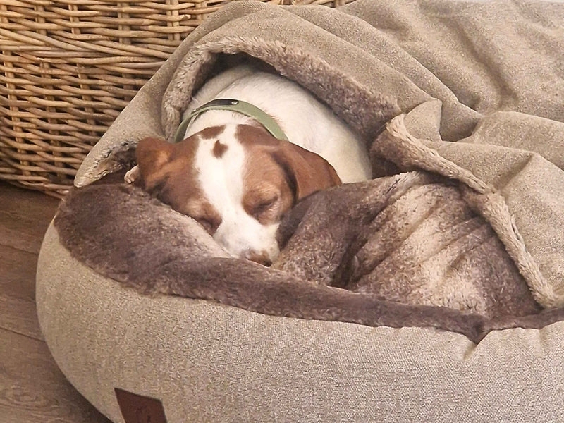 Cozy Plush Dog Nest Bed in Warm Beige with Hooded Cave Design