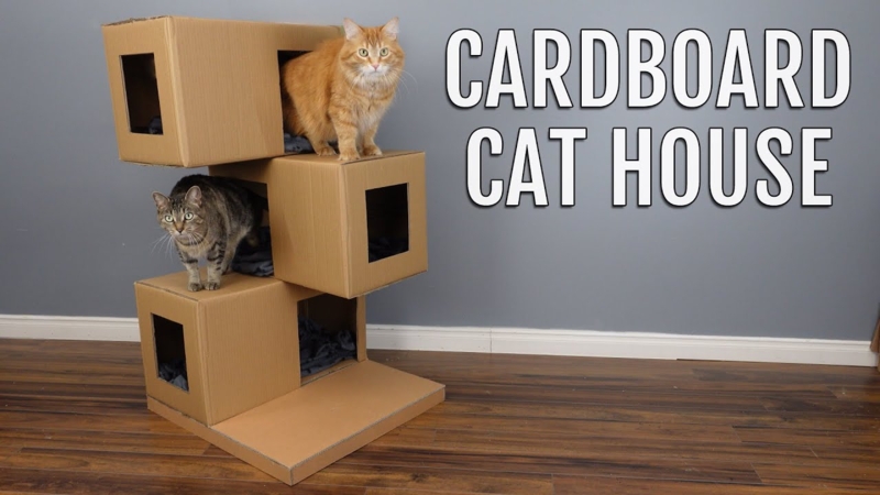 DIY Cardboard Cat House featuring Staggered Boxes and Multi Level Design