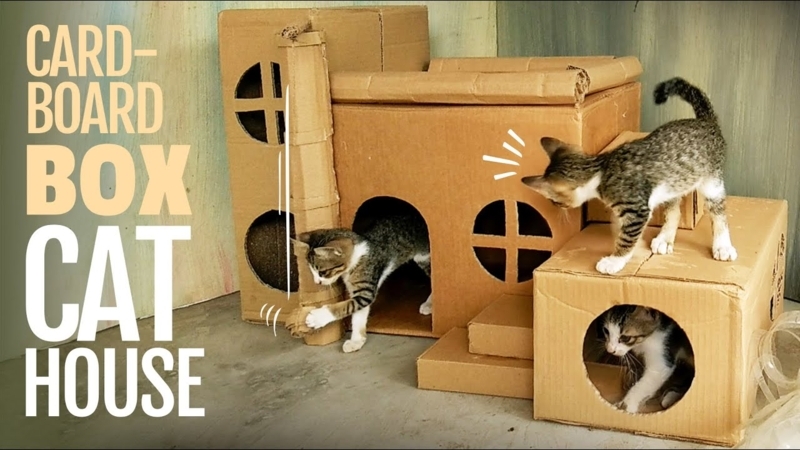 DIY Cardboard Cat Mansion with Box Stairs and Multi Level Design