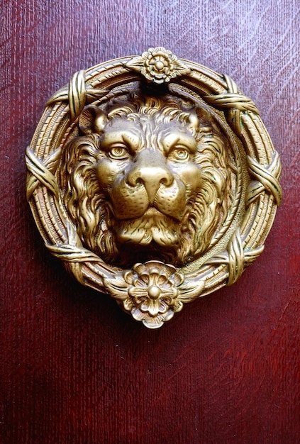 Door Knocker, Antiqued Brass Lion Head with Floral Rosettes.