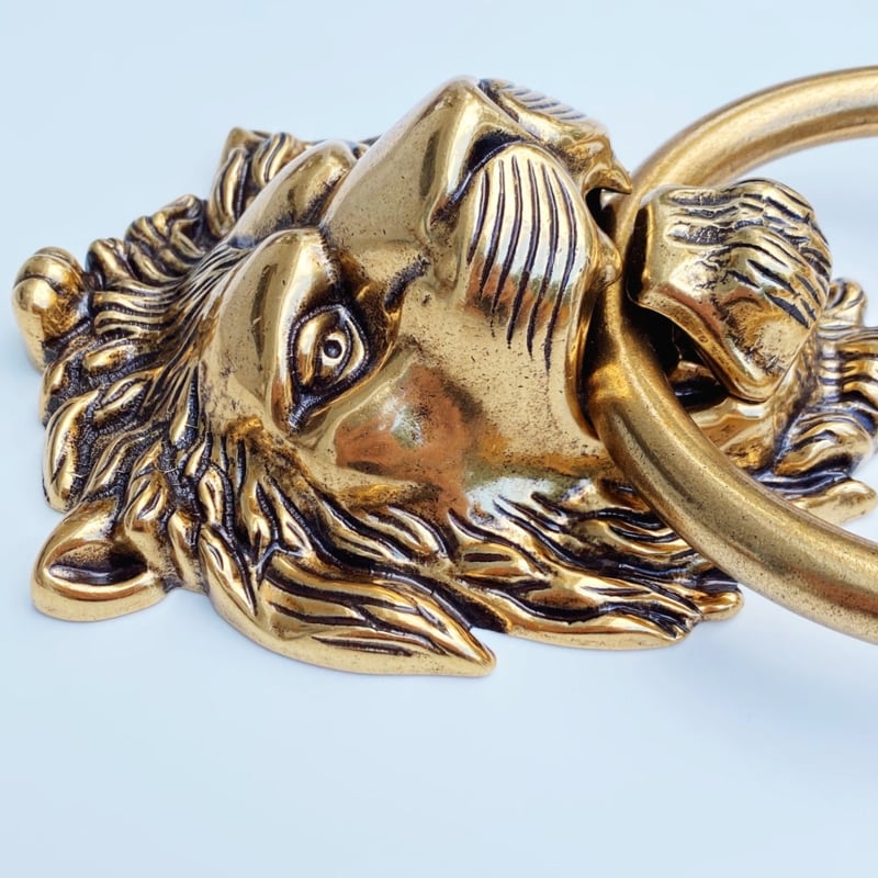 Door Knocker, Polished Brass Lion Head with Traditional Motif.