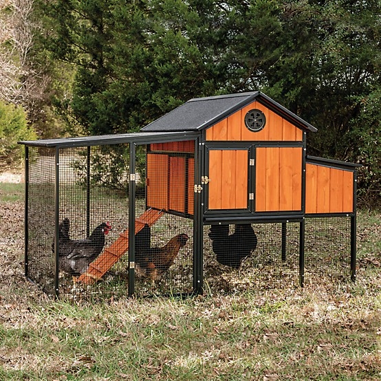Elevated Orange Wood Chicken Coop, Modern Rustic House