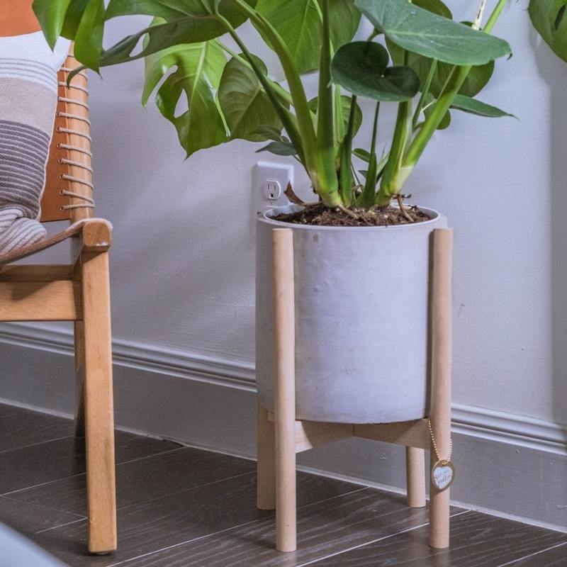 Elevated Wood Plant Stand with Rounded Dowels and X-Base Frame.