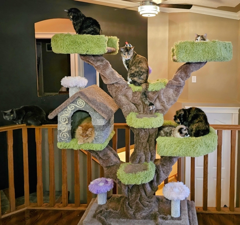 Enchanted Forest Cat Condo with Moss Like Shag Platforms