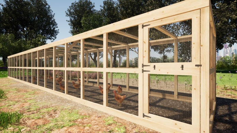 Expansive Natural Wood Chicken Run Shed Roof Design