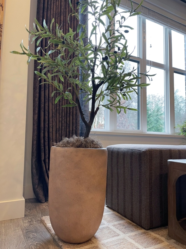 Faux Olive Tree Tapered Terracotta Pot Matte Textured Finish