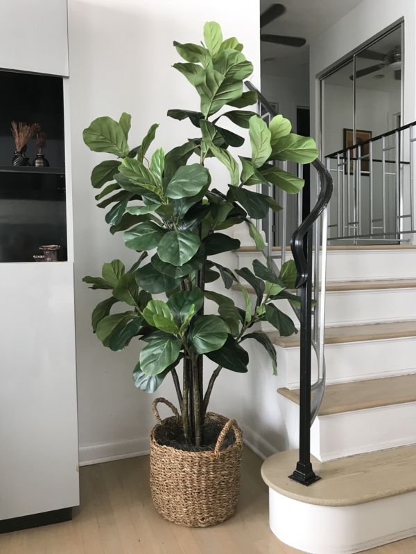 Faux Tree Fiddle Leaf Fig Woven Basket Planter Staircase Corner